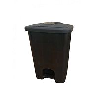 Бак для мусора Алсера 1-25АР черный 25л с педалью